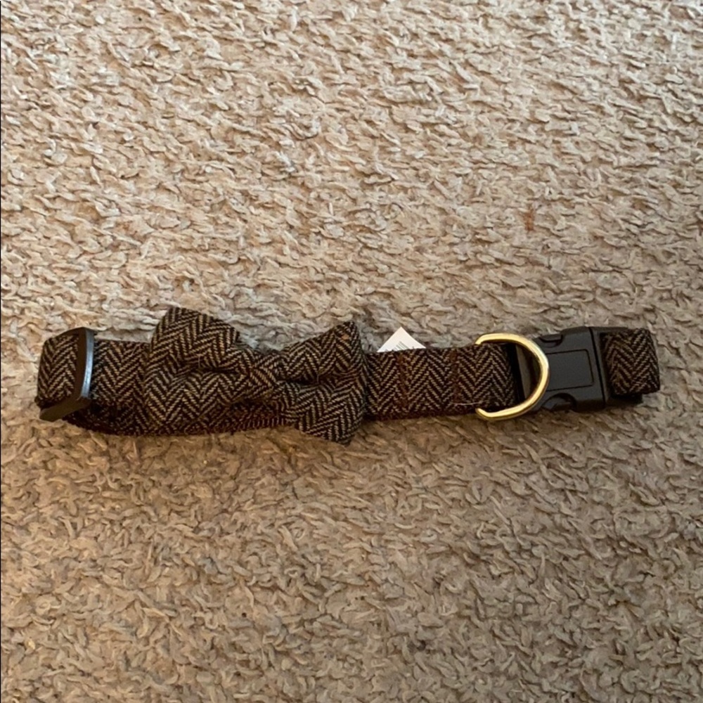 Large dog collar